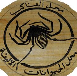 Spider Shop sklep terrarystyczny, Sosnowiec godziny otwarcia