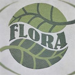 Sklep Ogrodniczy FLORA, P.P.H.U. FLORA S.C. Renata Czyż, Janusz Czyż, Cieszyn godziny otwarcia