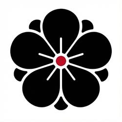 Szkoła Aikido Zielona Góra, godziny otwarcia