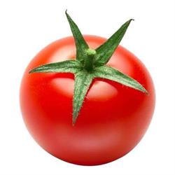 Tomato Poznań - DNK Sp. z o.o., Komorniki godziny otwarcia