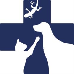 PROVET Przychodnia Weterynaryjna, Toruń godziny otwarcia
