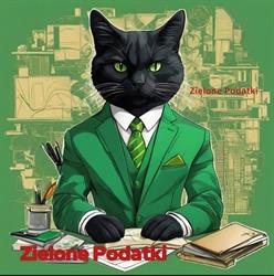Zielone Podatki Biuro Rachunkowe Żyrardów, godziny otwarcia