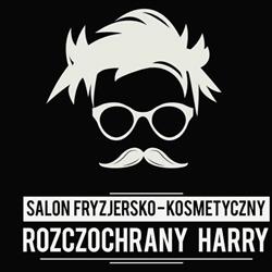 Salon fryzjersko-kosmetyczny Rozczochrany Harry Warszawa Wola fryzjer damski, męski i dziecięcy, godziny otwarcia