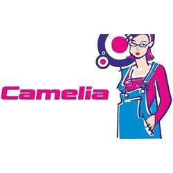 Camelia Clothes SP ZOO., Starogard Gdański godziny otwarcia