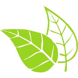 naturaprojekt.pl, Ląd godziny otwarcia