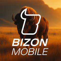 Bizon Mobile - Akcesoria do Urządzeń Mobilnych, Ostrów Wielkopolski godziny otwarcia