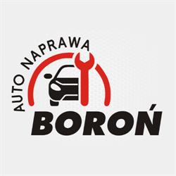 AUTO NAPRAWA Boroń, Chojnów godziny otwarcia