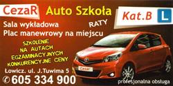 Ośrodek Szkolenia Kierowców Auto Szkoła CezaR, Łowicz godziny otwarcia