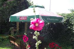 Malva. PHU, Elbląg godziny otwarcia