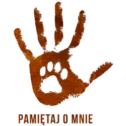 Krematorium dla zwierząt Łódź - kremacja psa kota - Pamiętaj o mnie BOK, Pabianice godziny otwarcia