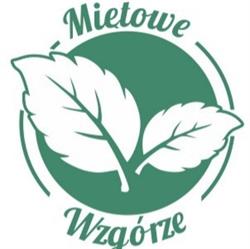 Miętowe Wzgórze Domek z Balią "Sokoli Kamień", Falsztyn godziny otwarcia