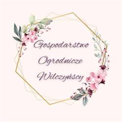 Gospodarstwo Ogrodnicze Wilczyńscy, Falniów-Wysiołek godziny otwarcia