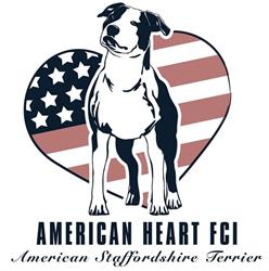 American Heart FCI - domowa hodowla American Staffordshire Terrier / akcesoria dla psów, Dąbrowa Górnicza godziny otwarcia
