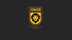 Klub Sportowy Junior, Józefosław godziny otwarcia