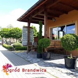 Ogród Brandwica - P.H.U.P Maciejak - Aranżacja Ogrodów, godziny otwarcia