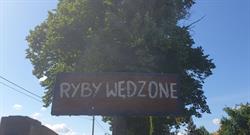 Ryby Wędzone, Gdańsk godziny otwarcia