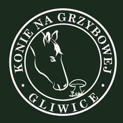 Konie na Grzybowej, Gliwice godziny otwarcia