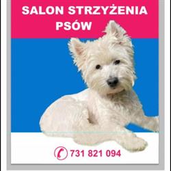 Salon Strzyżenia Psów Animals, Poznań godziny otwarcia