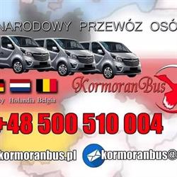 Kormoran Bus Przewozy do Niemiec, do Holandii, do Belgii, Olsztyn godziny otwarcia