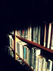 Biblioteka Publiczna w Sulęcinie, godziny otwarcia