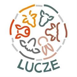 Lucze sp.z.o.o, Lublin godziny otwarcia