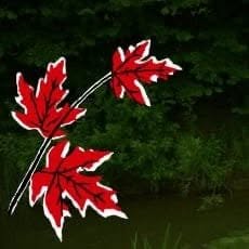 Szkółka Roślin Ozdobnych Santocko, godziny otwarcia