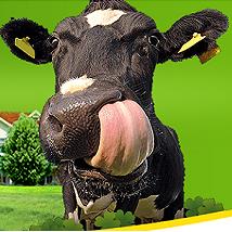 agrotechniczny.pl, Kłobuck godziny otwarcia