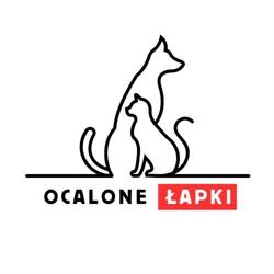 Fundacja Ocalone Łapki, Mielec godziny otwarcia