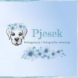 Studio pielęgnacji i fotografii zwierząt "Pjesek", Skórzewo godziny otwarcia