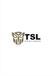 TSL Providers Sp. z o.o., Zabrze godziny otwarcia