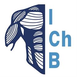 ICHB Instytut Chirurgii Barku, Szczecin godziny otwarcia