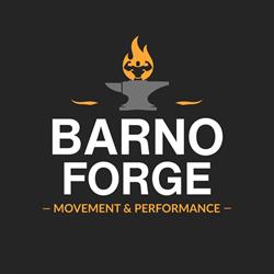 Barnogym - treningi personalne - Witów, godziny otwarcia