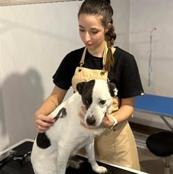 Pet Glam & Spa, Libiąż godziny otwarcia