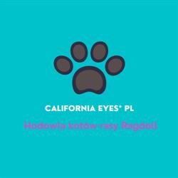 Hodowla Kotów Rasy Ragdoll -California Eyes *PL, Łaziska Górne godziny otwarcia