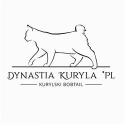 Dynastia Kuryla*PL, Szamocin godziny otwarcia