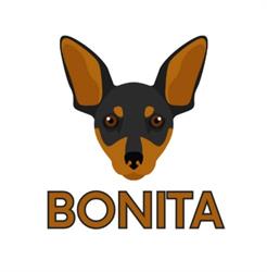 Bonita obsługa BDO KOBiZE - raportowanie ESG Ochrona Środowiska, Poznań godziny otwarcia