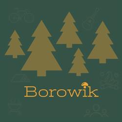 Ośrodek Borowik, Koszęcin godziny otwarcia