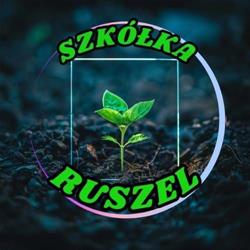 Szkółka Ruszel rośliny ozdobne owocowe krzewy trawy drzewa ogród Poddębice Uniejów Łódź, godziny otwarcia
