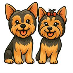 Pupel Groom, Czechowice-Dziedzice godziny otwarcia