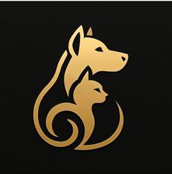 Salon Groomerski "Beauty Pet", Suwałki godziny otwarcia