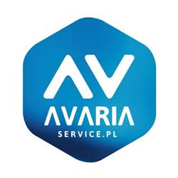 AVARIA SERVICE, Pieszyce godziny otwarcia