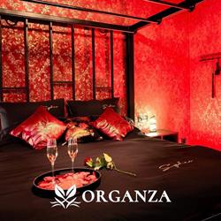 Apartament Organza, Toruń godziny otwarcia