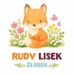 Żłobek Rudy Lisek, Pabianice godziny otwarcia