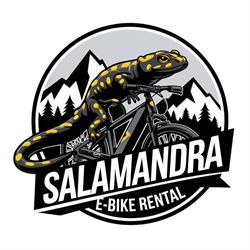 Wypożyczalnia rowerów Salamandra - Krynica, Krynica-Zdrój godziny otwarcia