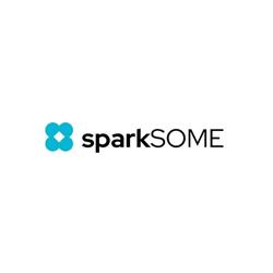 SparkSome Venture Sp. z o.o., Kraków godziny otwarcia