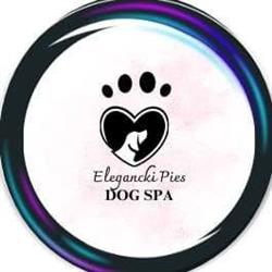 Elegancki Pies Dog Spa, Poznań godziny otwarcia