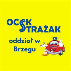 Opolskie Centrum Szkolenia Kierowców STRAŻAK oddział Brzeg, godziny otwarcia