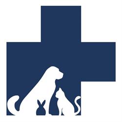 Przychodnia Weterynaryjna CANIS Michał Beker, Złotów godziny otwarcia