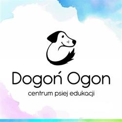 Dogoń Ogon, Łańcut godziny otwarcia