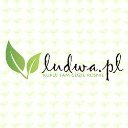 Gospodarstwo Ogrodnicze Bogdan Ludwa, Pawęzów godziny otwarcia